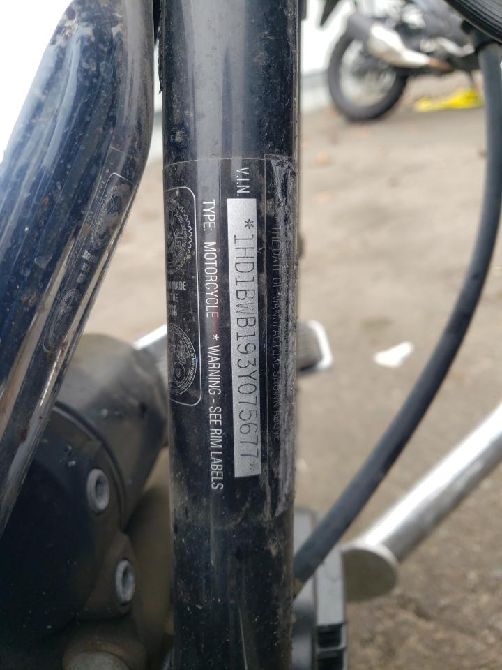 2003 Harley-Davidson Flstci VIN: 1HD1BWB193Y075677 Lot: 91738745