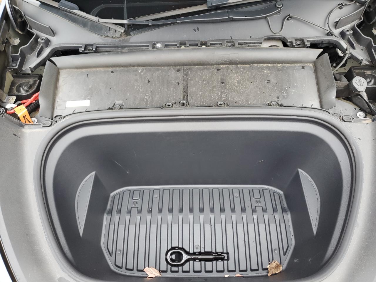 2023 Tesla Model Y VIN: 7SAYGAEE8PF874524 Lot: 91564685