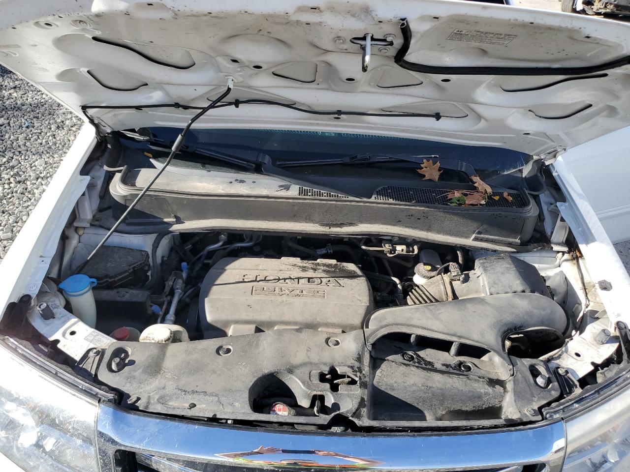 2014 Honda Pilot Exln VIN: 5FNYF4H78EB050809 Lot: 93081035