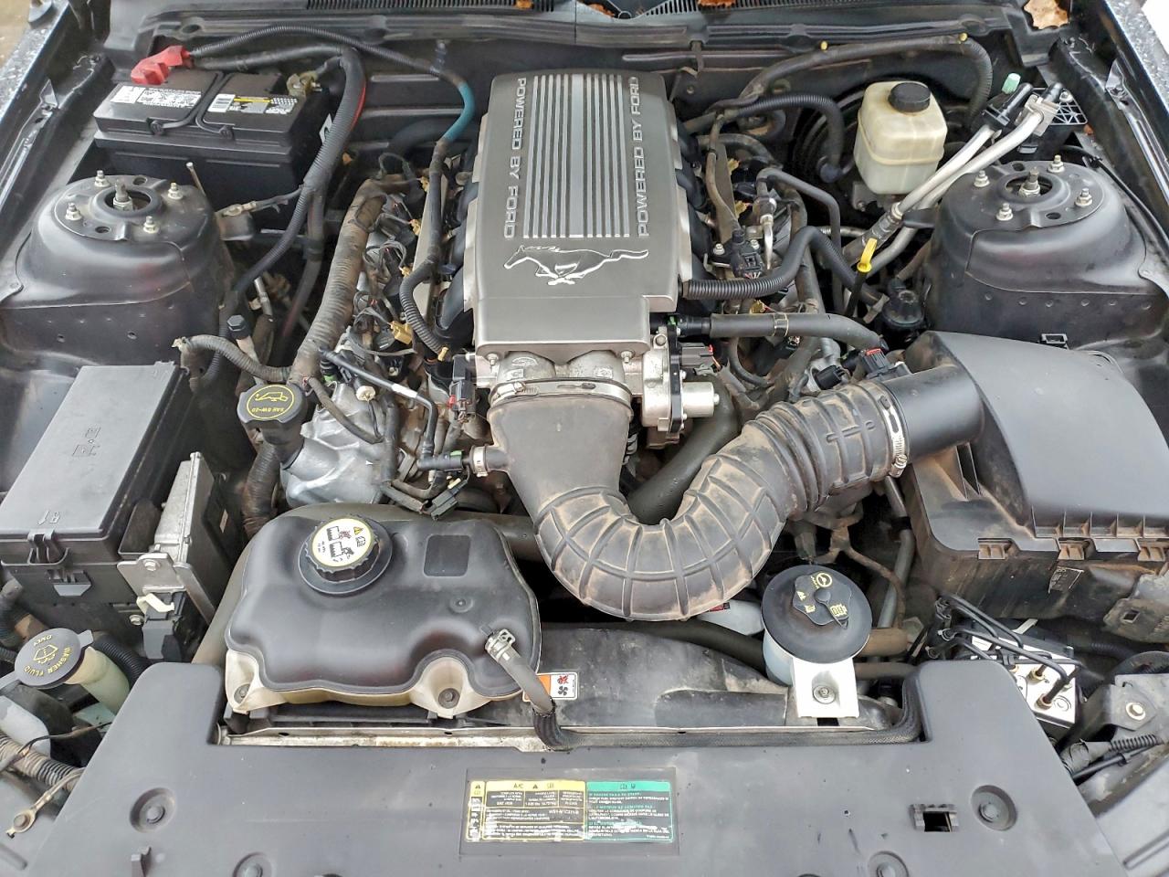 2007 Ford Mustang Gt VIN: 1ZVHT85H475321234 Lot: 93547325