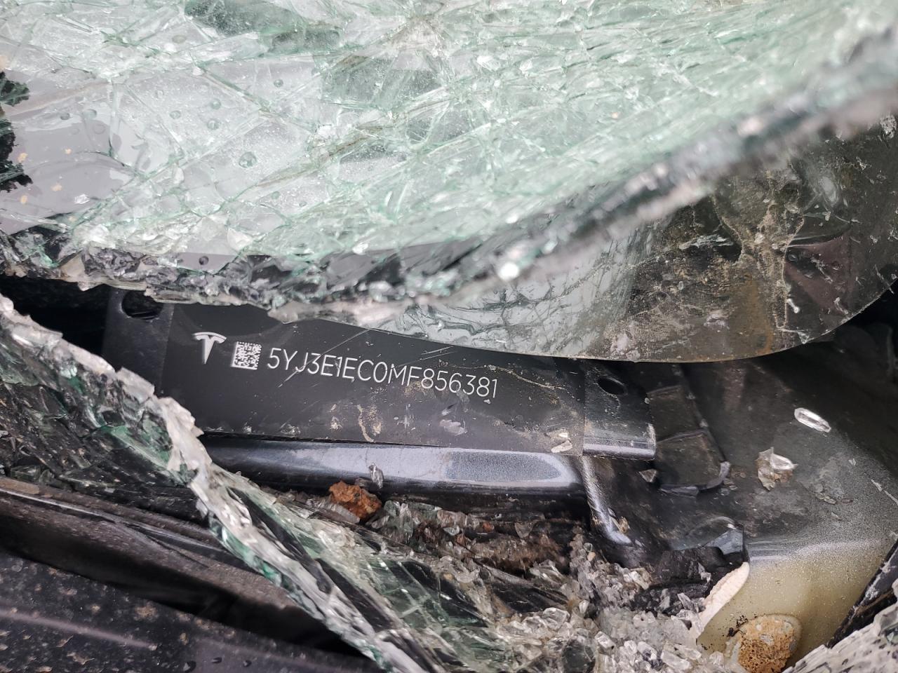 2021 Tesla Model 3 VIN: 5YJ3E1EC0MF856381 Lot: 92103985