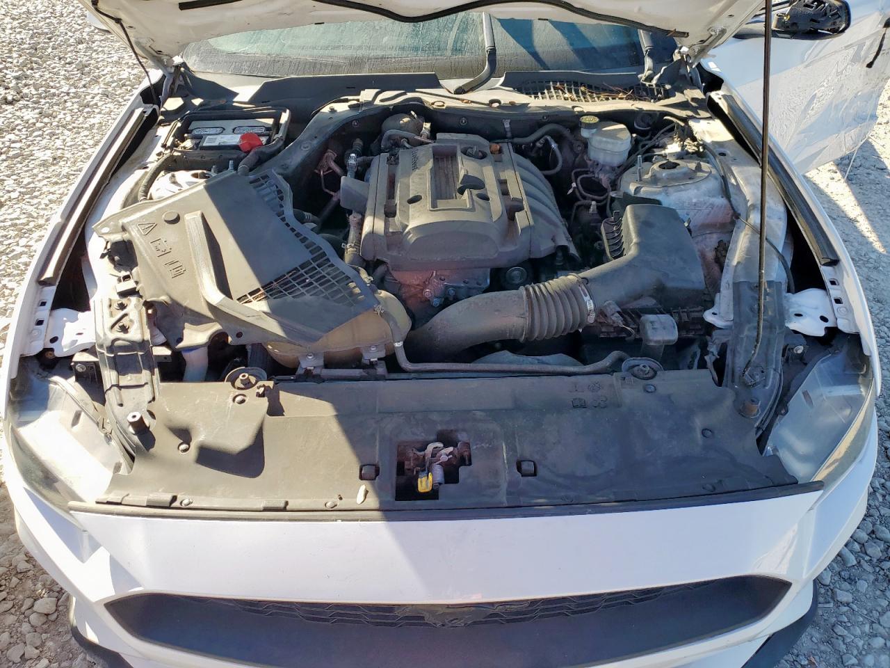 2020 Ford Mustang VIN: 1FA6P8TH7L5133194 Lot: 92466255