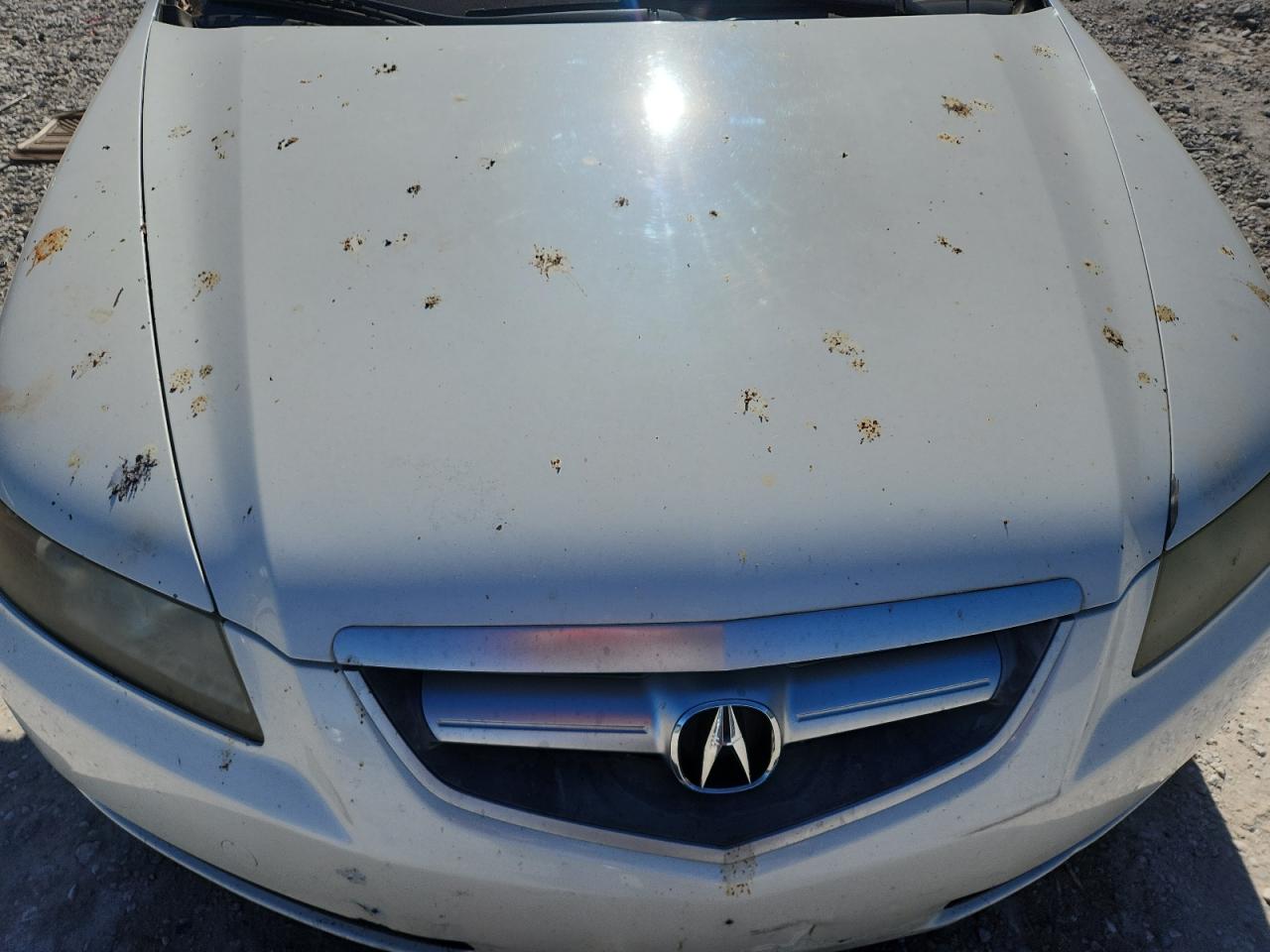 2006 Acura 3.2Tl VIN: 19UUA662X6A066621 Lot: 90861635