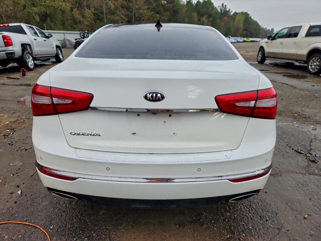 2015 Kia Cadenza Premium VIN: KNALN4D75F5191954 Lot: 93912355