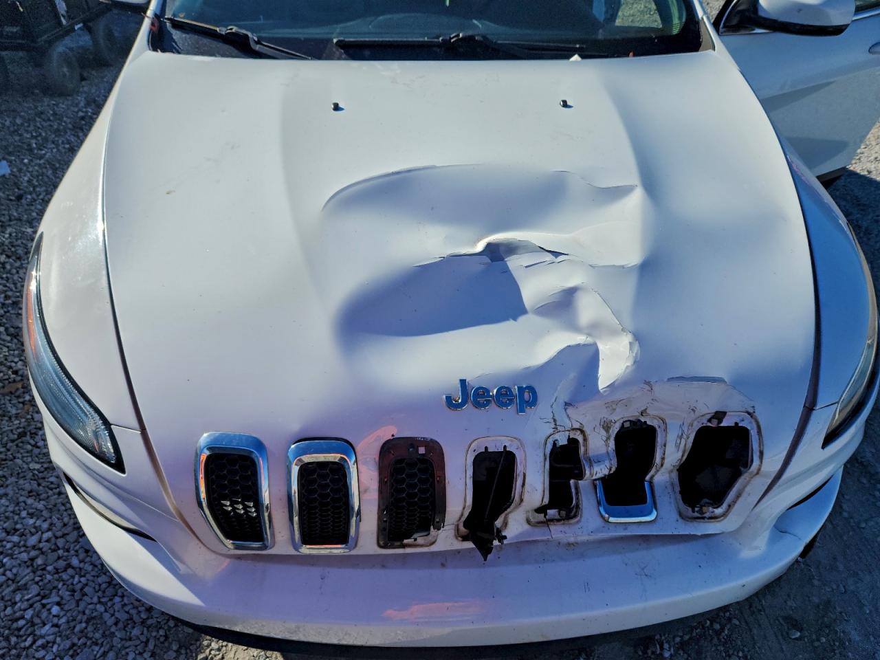 2014 Jeep Cherokee Limited VIN: 1C4PJLDBXEW314199 Lot: 94123955