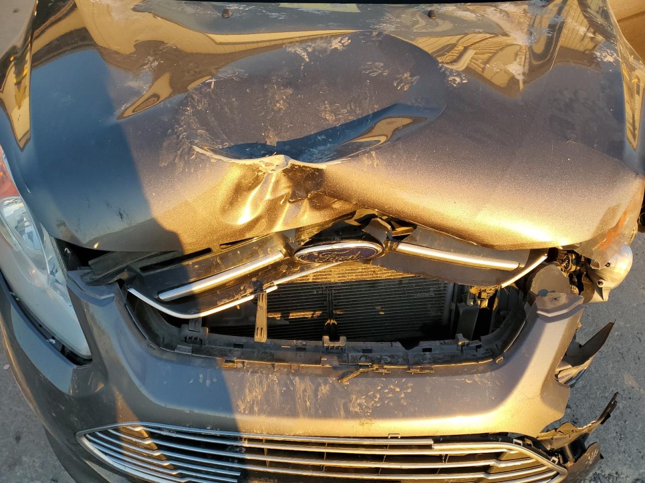 2014 Ford C-Max Se VIN: 1FADP5AU9EL515621 Lot: 91460605