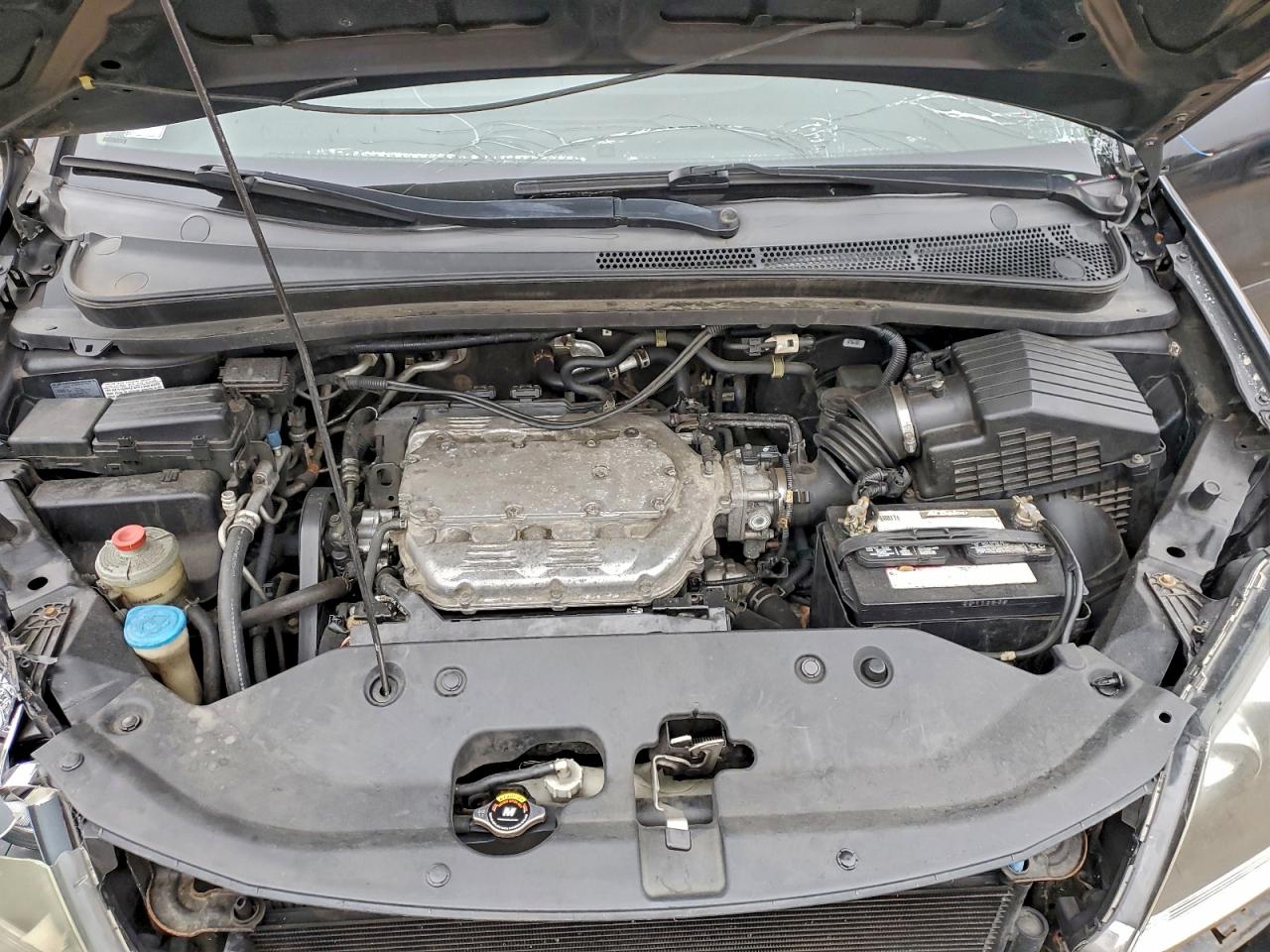 2009 Honda Odyssey Exl VIN: 5FNRL38619B045164 Lot: 93552305