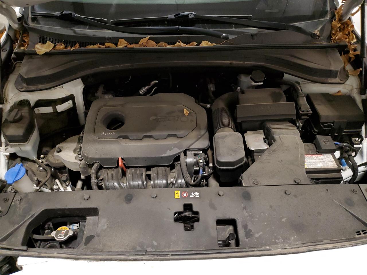 2019 Hyundai Santa Fe Sel VIN: 5NMS3CAD9KH006532 Lot: 93878725