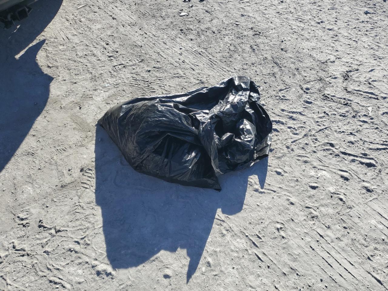 2003 Lexus Rx 300 VIN: JTJHF10U530311886 Lot: 92113965