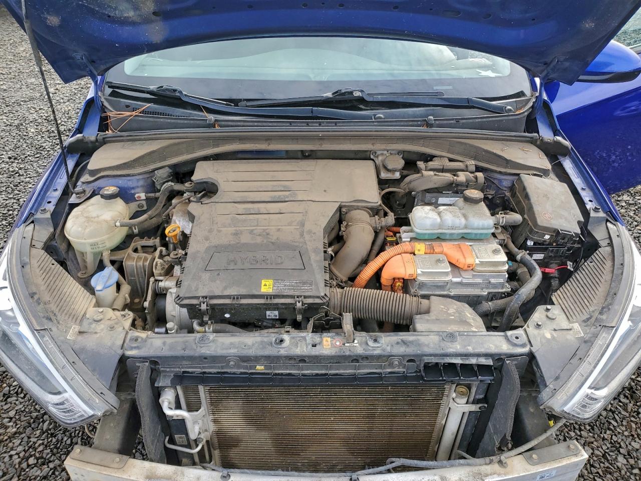 2019 Hyundai Ioniq Blue VIN: KMHC65LC8KU168345 Lot: 93761355