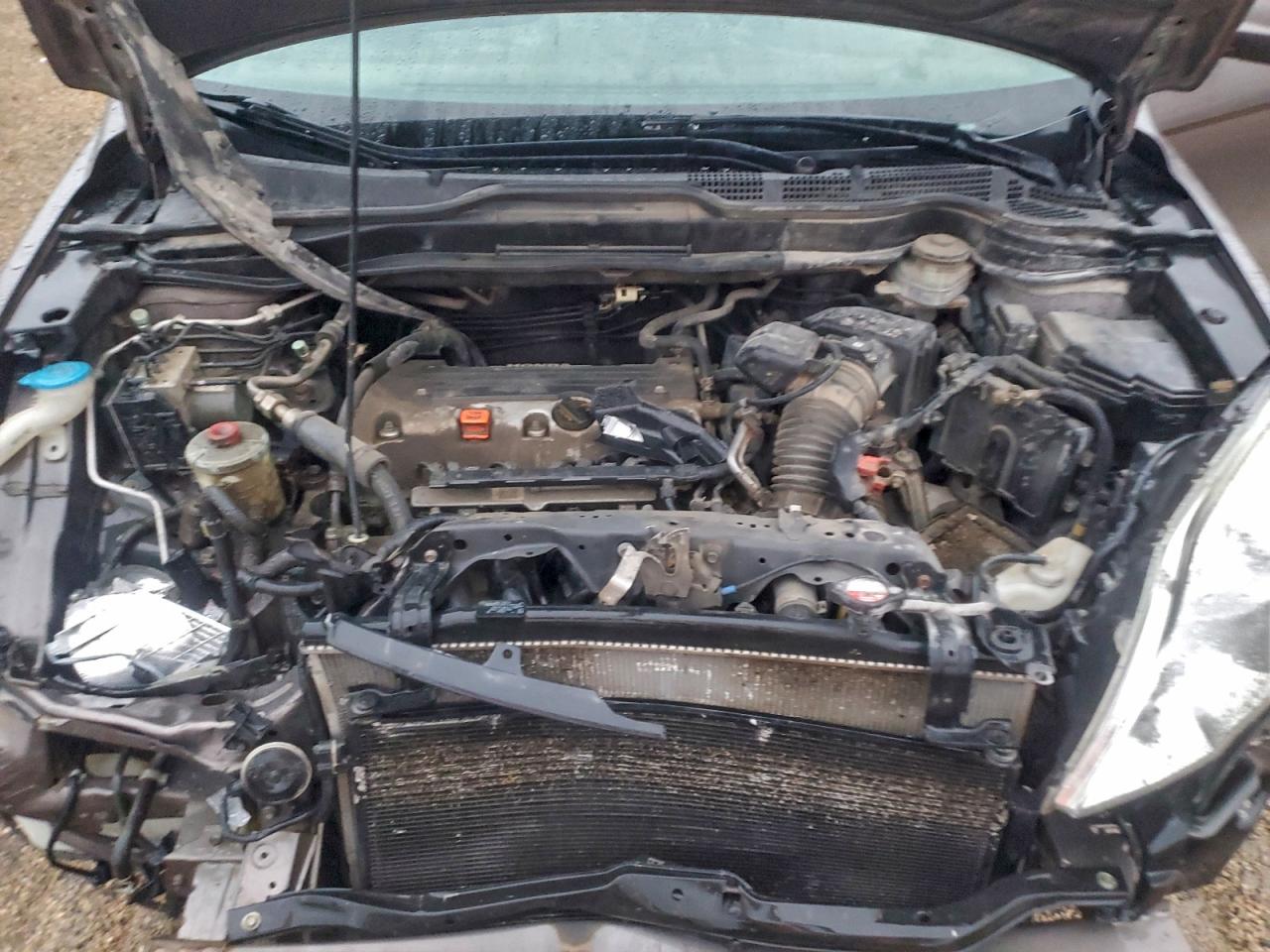 2011 Honda Cr-V Exl VIN: 5J6RE4H70BL019290 Lot: 92054615