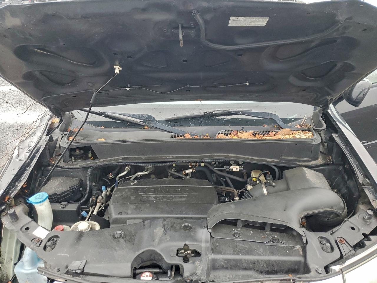 2011 Honda Pilot Exl VIN: 5FNYF4H67BB036564 Lot: 94279925