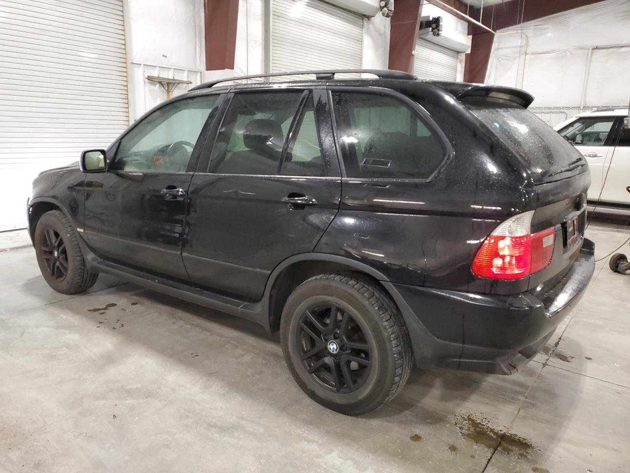 Фото: 5UXFA13514LU21488