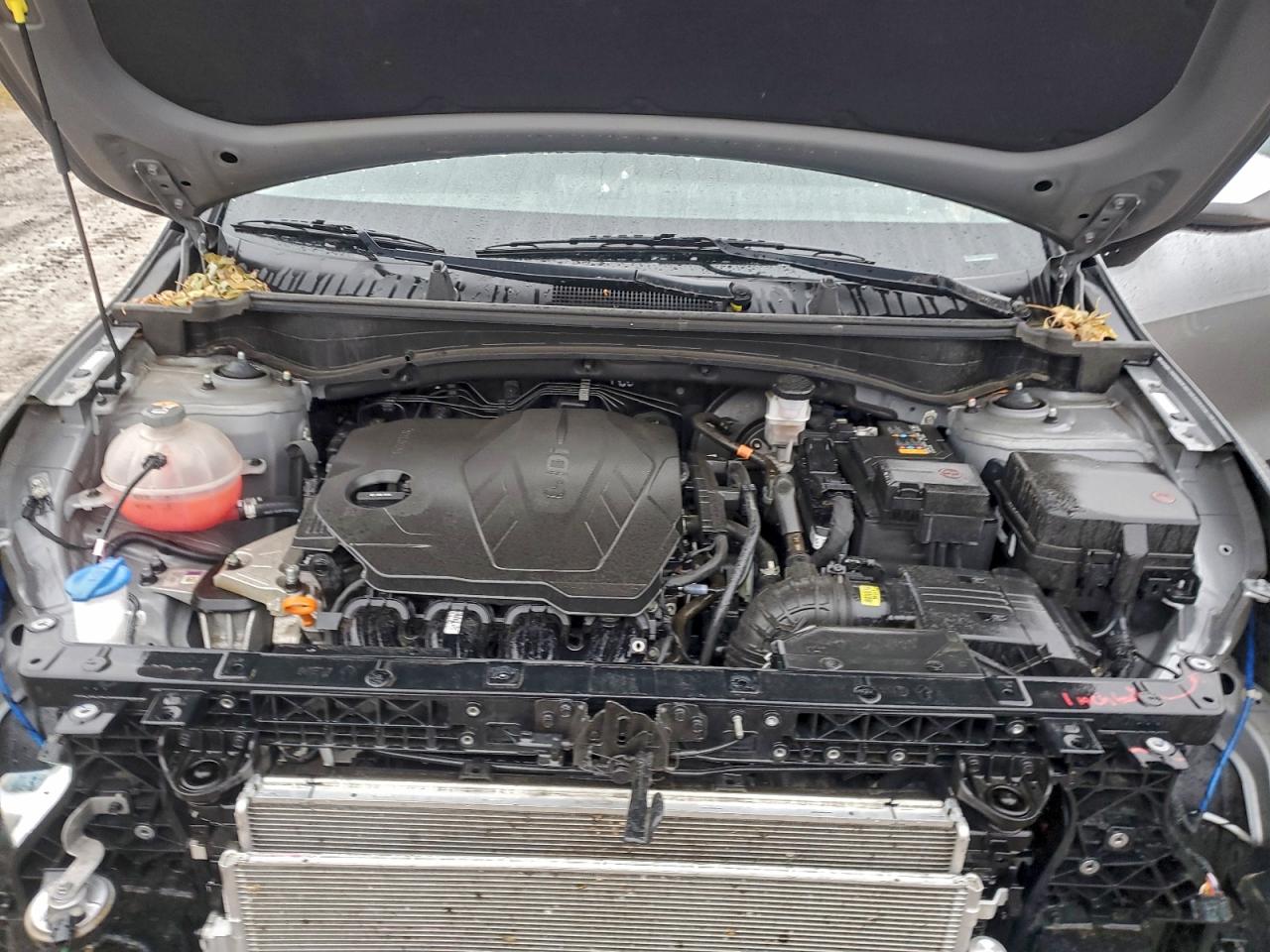 2023 Kia Sportage Lx VIN: KNDPUCAF0P7210414 Lot: 93728955