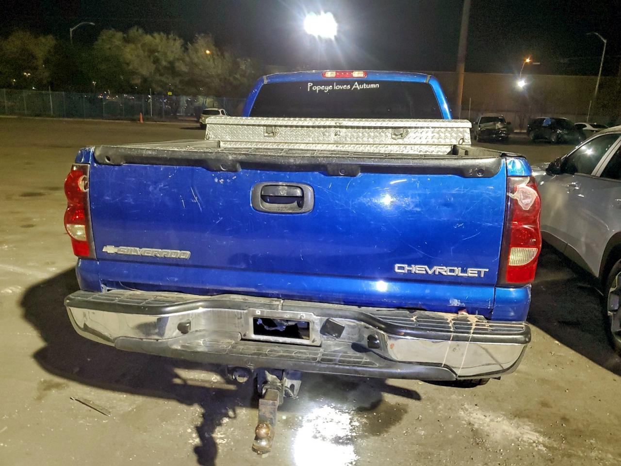 2003 Chevrolet Silverado K1500 VIN: 2GCEK19T131335893 Lot: 94843175