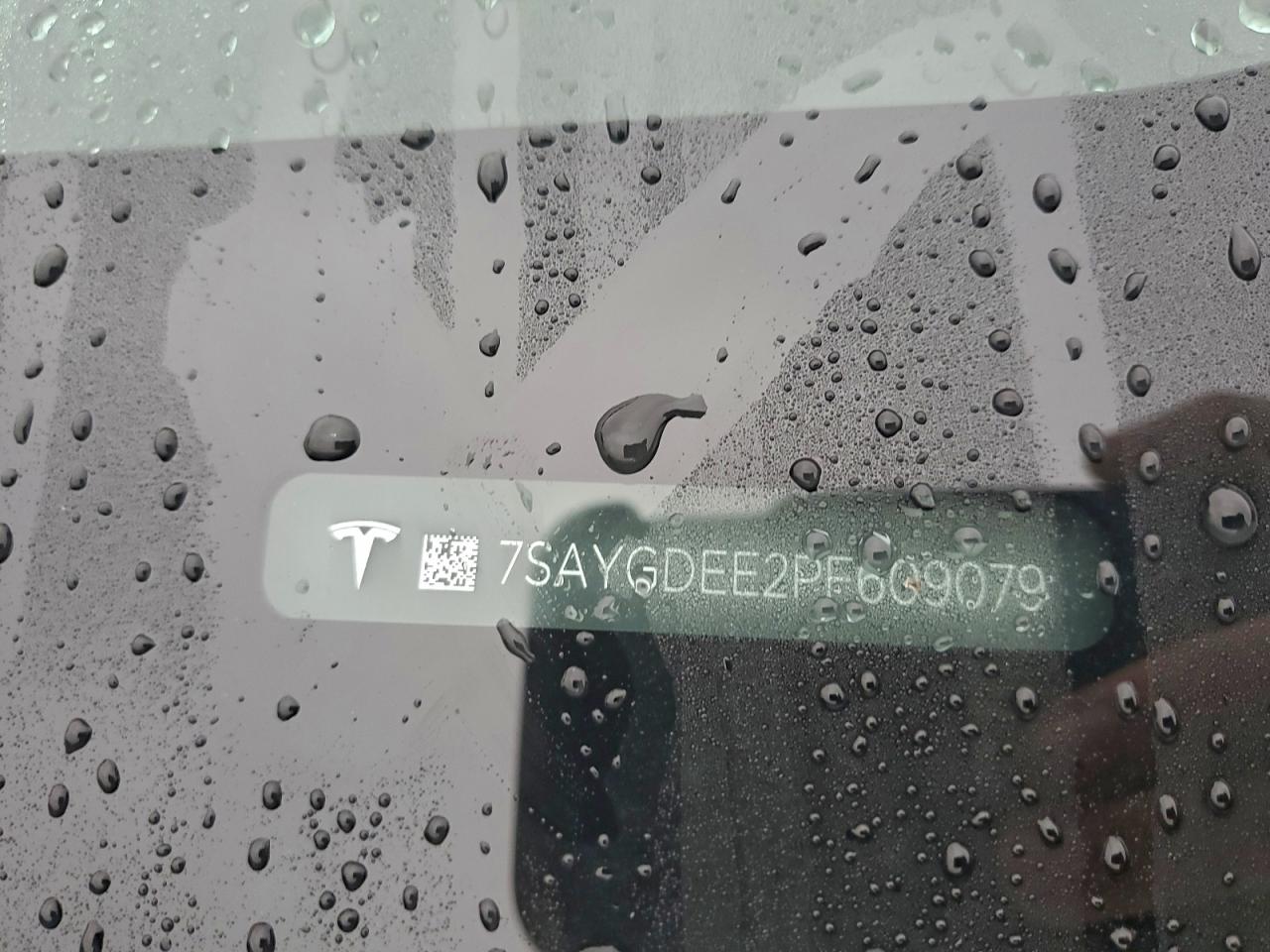 2023 Tesla Model Y VIN: 7SAYGDEE2PF609079 Lot: 93918845