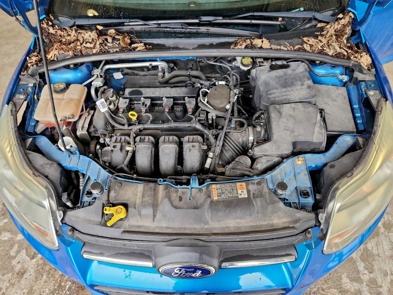 2014 Ford Focus Se VIN: 1FADP3F20EL402667 Lot: 93982565