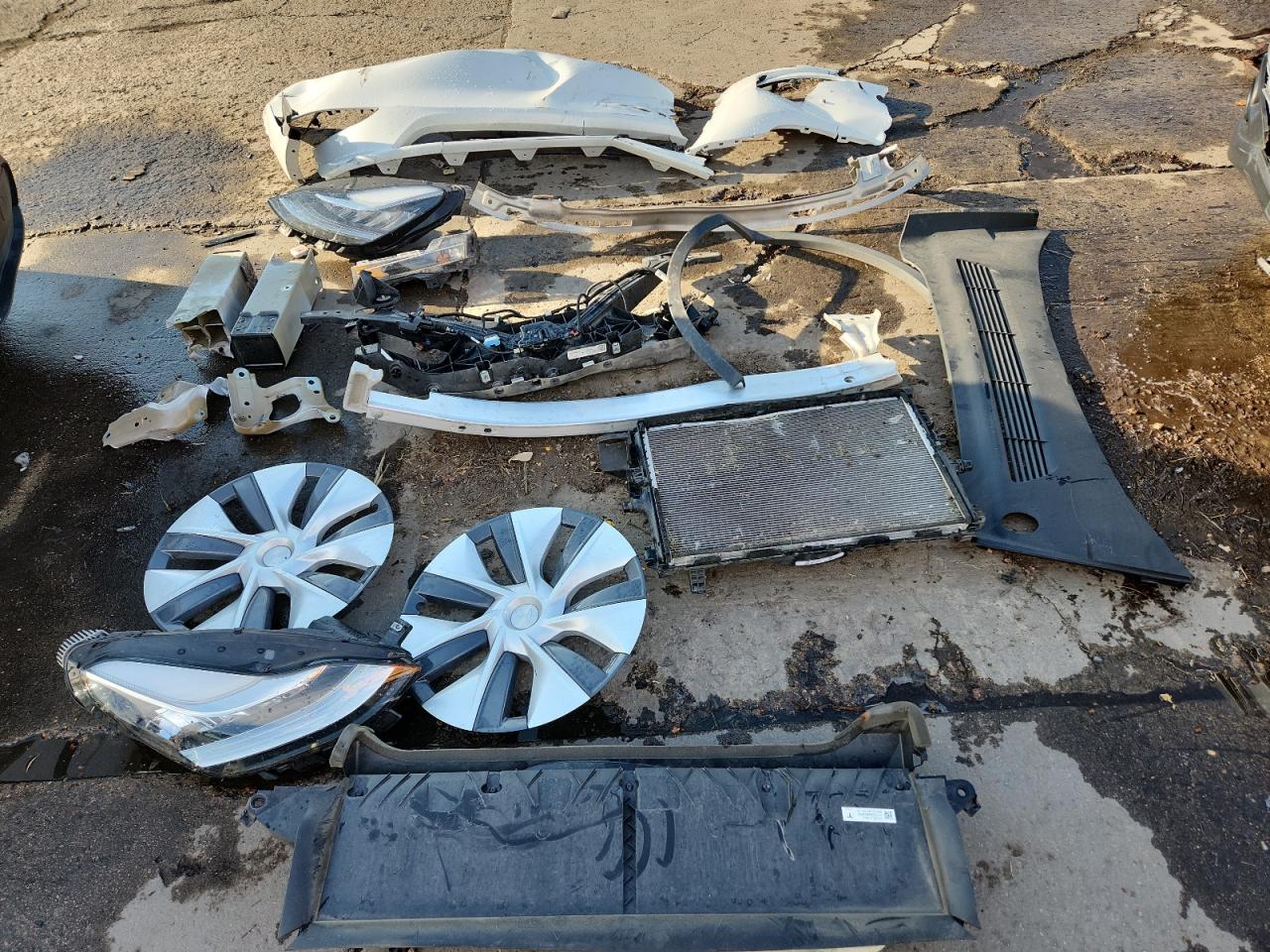 2023 Tesla Model Y VIN: 7SAYGAEE3PF591383 Lot: 91052325