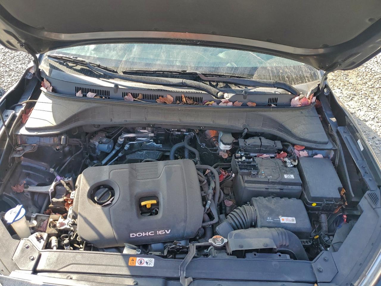 2021 Hyundai Kona Sel Plus VIN: KM8K62AA8MU693081 Lot: 92836075