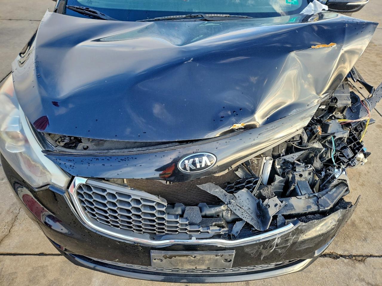 2016 Kia Forte Lx VIN: KNAFX4A69G5499701 Lot: 93225485