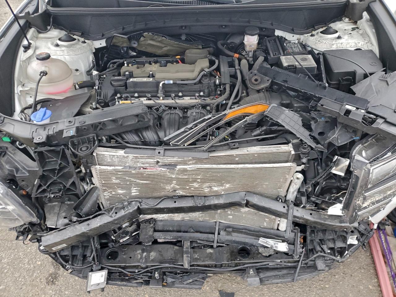 2024 Hyundai Tucson Limited VIN: 5NMJECDE8RH366346 Lot: 93559115