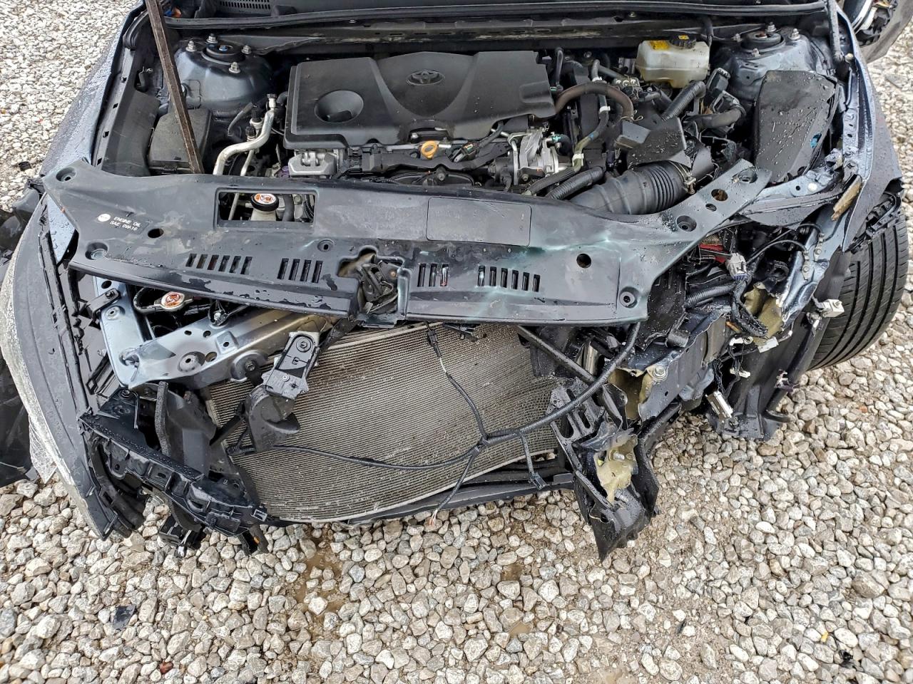 2019 Toyota Avalon Xle VIN: 4T1B21FB1KU004437 Lot: 94650535