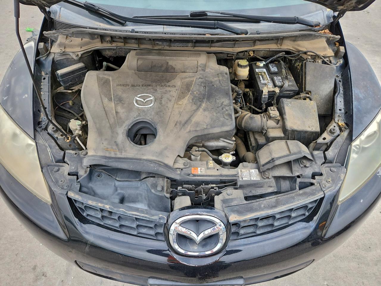 2008 Mazda Cx-7 VIN: JM3ER293180181097 Lot: 92509175