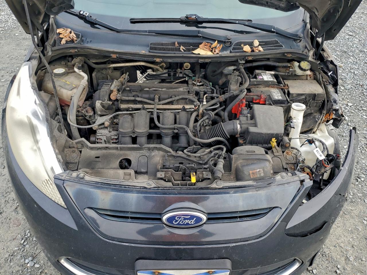 2012 Ford Fiesta Ses VIN: 3FADP4FJ3CM206005 Lot: 93631445