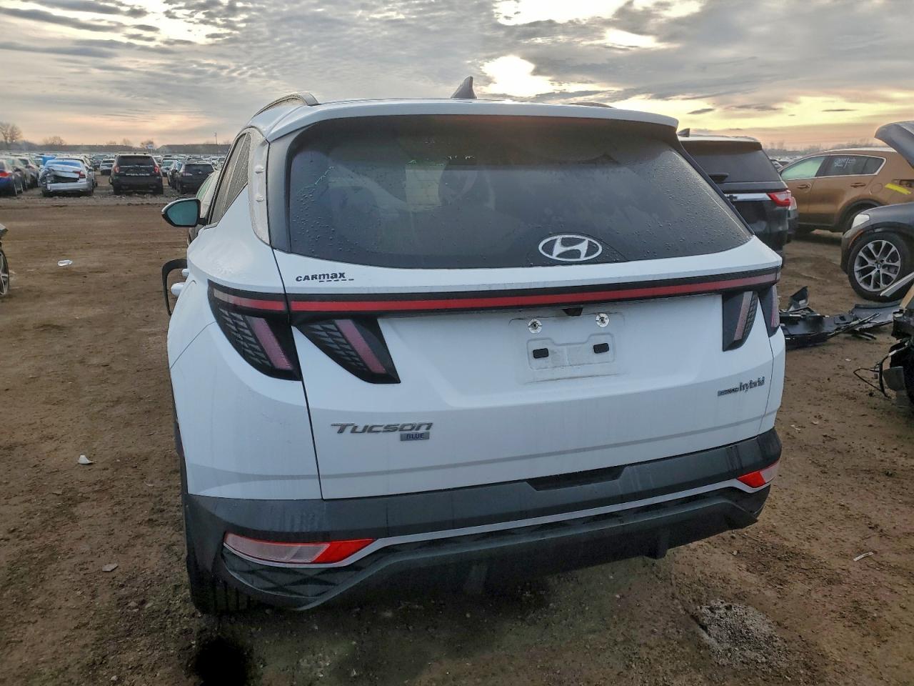 2022 Hyundai Tucson Blue VIN: KM8JBCA16NU030056 Lot: 94081425