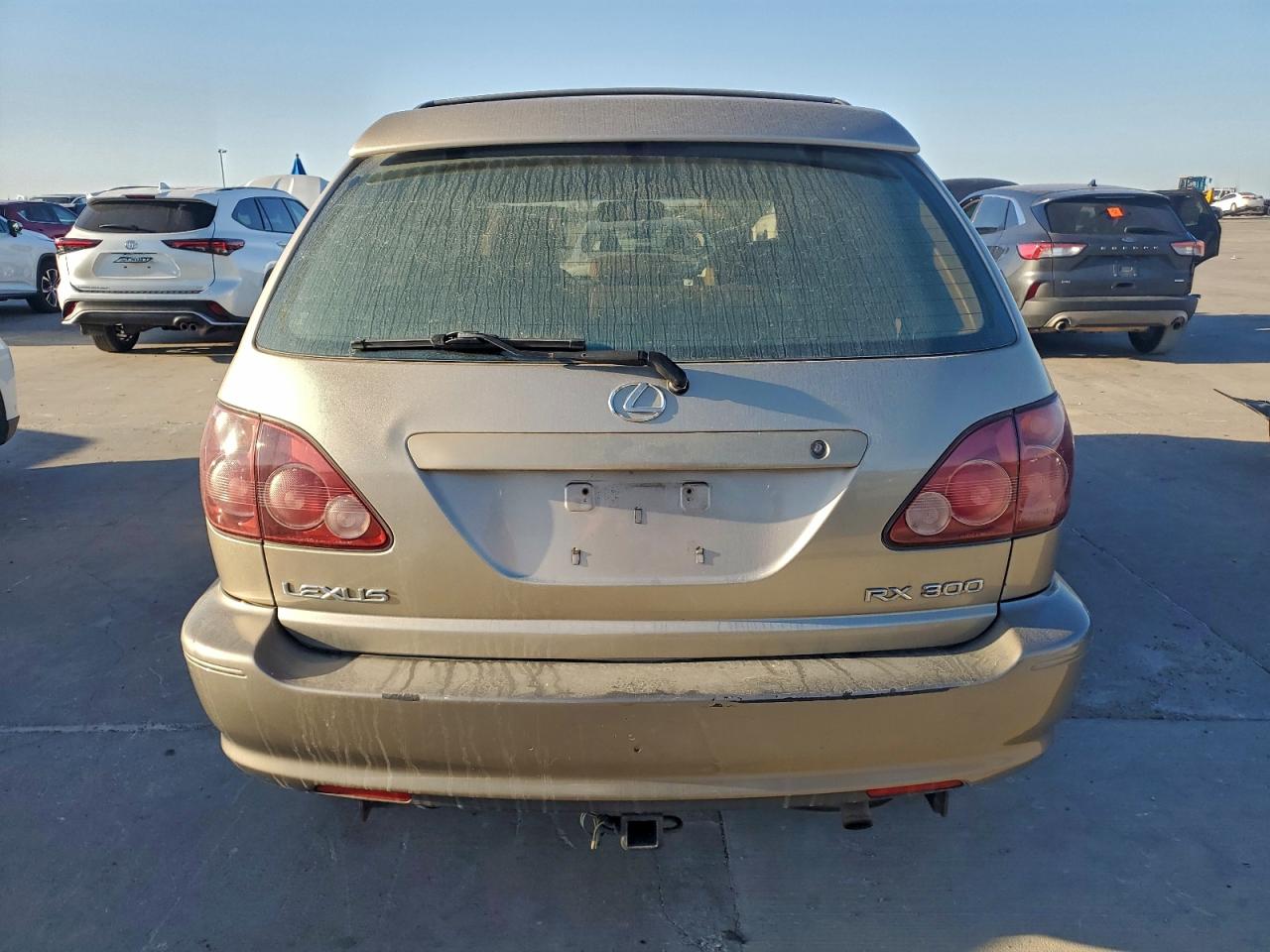 1999 Lexus Rx 300 VIN: JT6HF10U8X0082894 Lot: 92667735