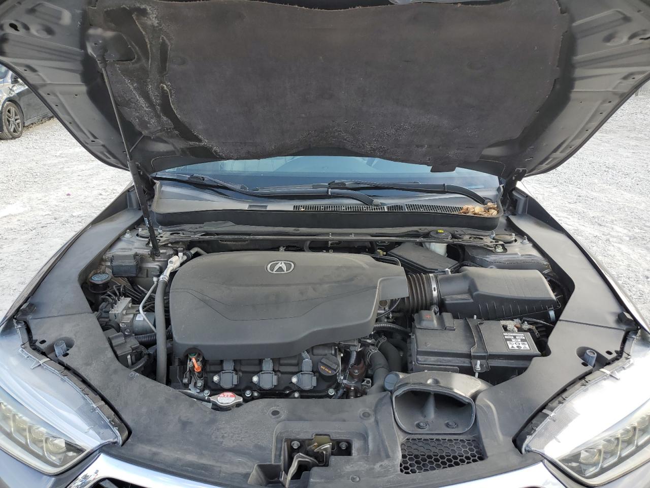 2020 Acura Tlx Technology VIN: 19UUB2F47LA001860 Lot: 92544785