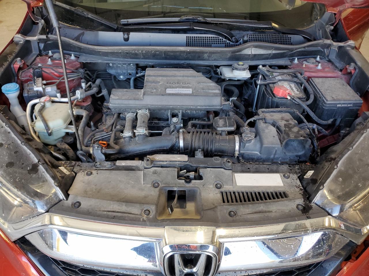 2019 Honda Cr-V Ex VIN: 5J6RW2H57KL005404 Lot: 92319305