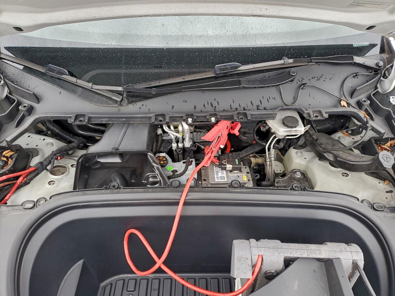 2024 Tesla Model Y VIN: 7SAYGDEF2RA325539 Lot: 92583525