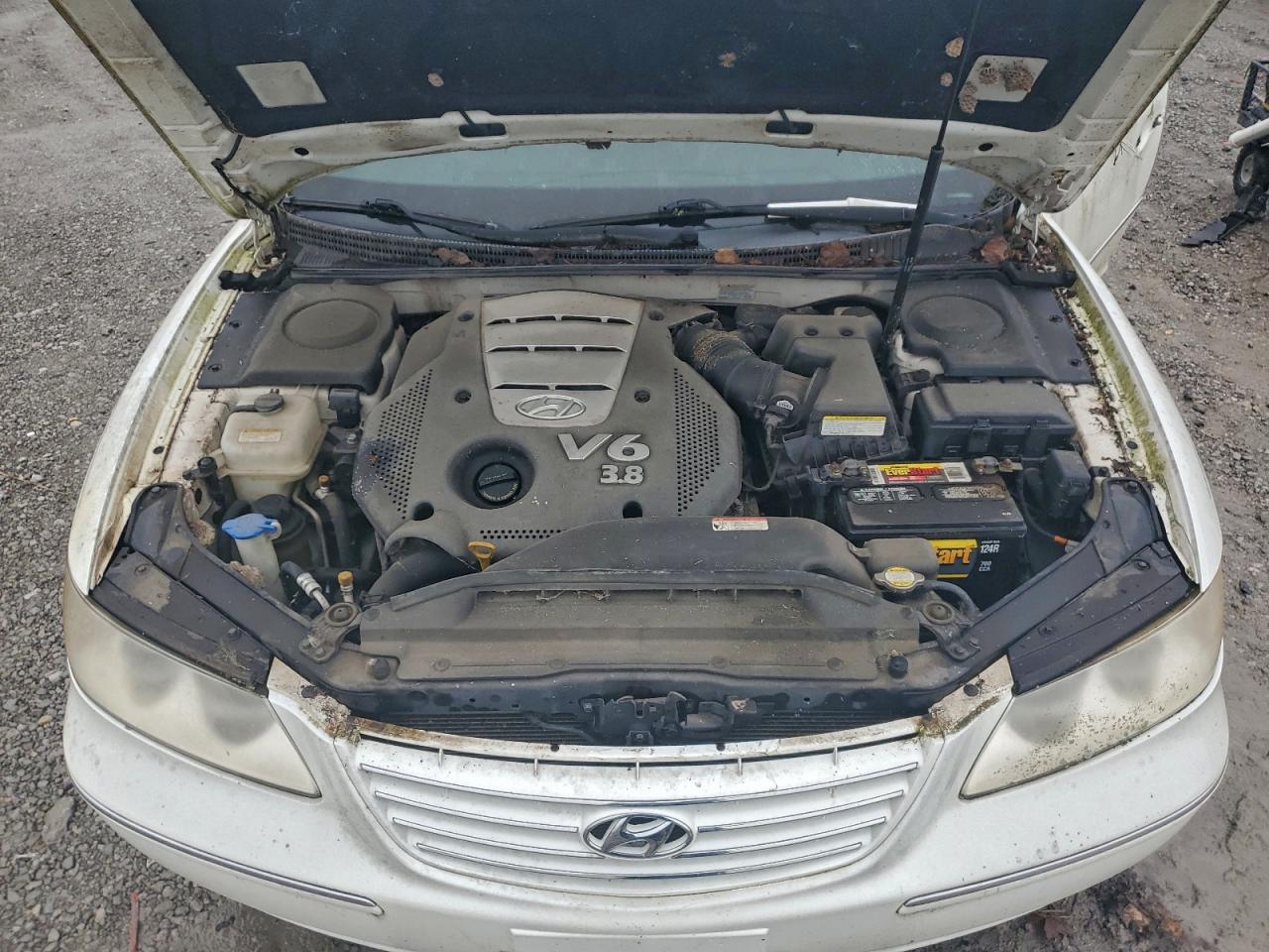 2006 Hyundai Azera Se VIN: KMHFC46F16A132445 Lot: 93841705