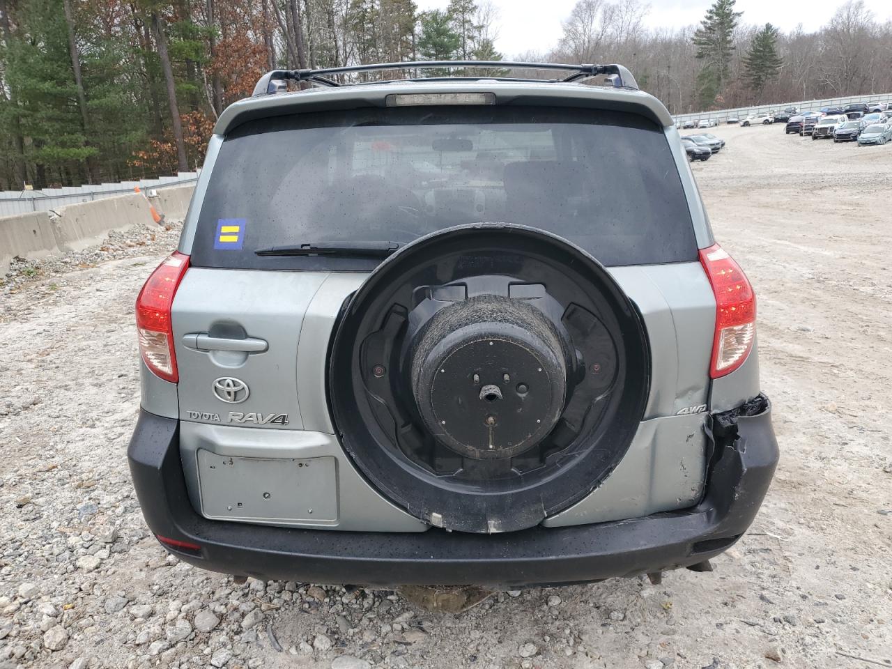 2007 Toyota Rav4 Limited VIN: JTMBK31V875030018 Lot: 92641425