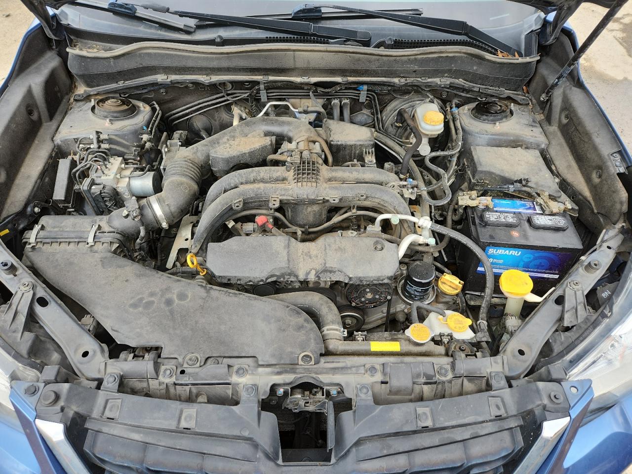 2017 Subaru Forester 2.5I Premium VIN: JF2SJAGC9HH456864 Lot: 90755925