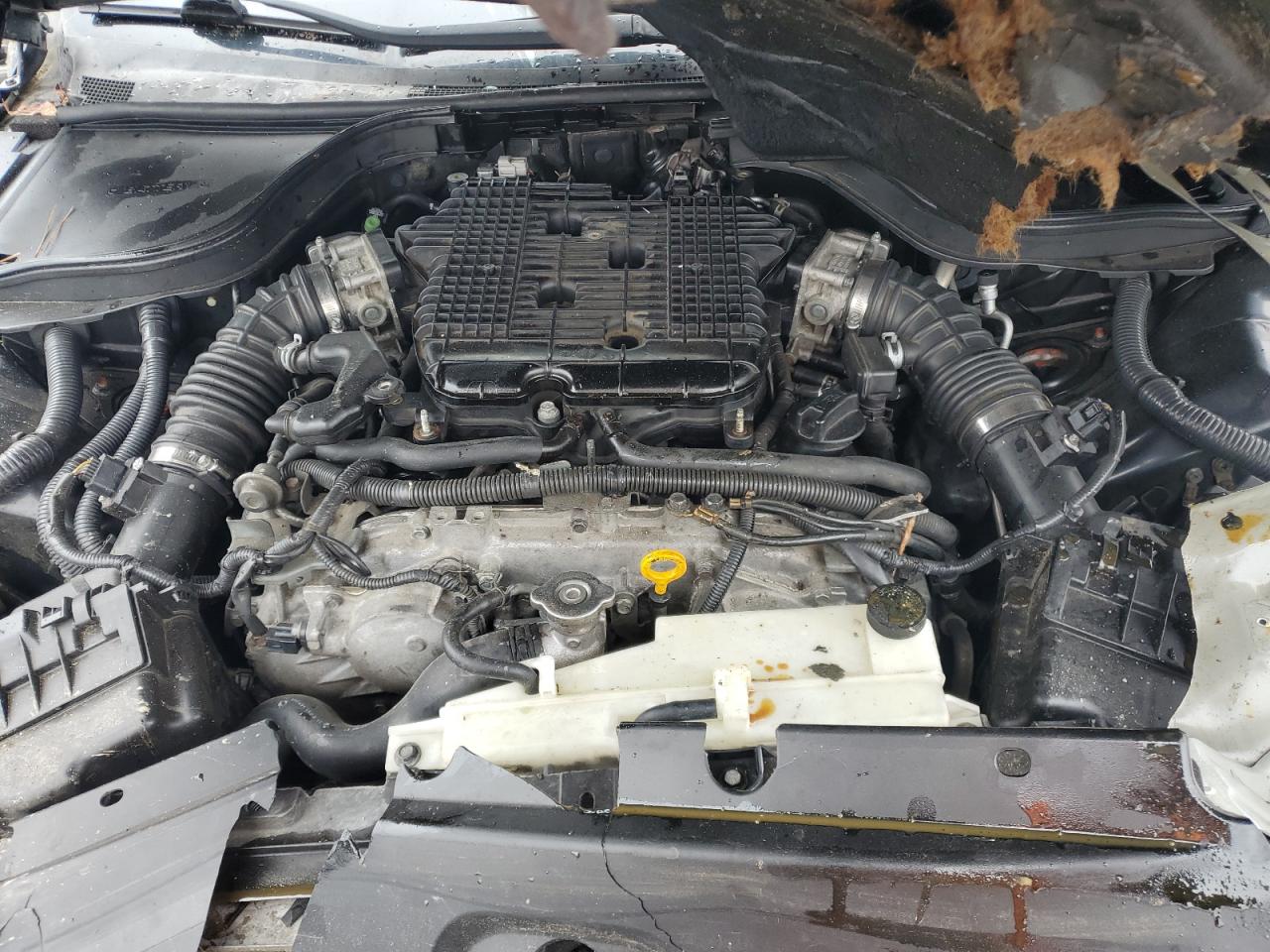 2012 Infiniti G37 Base VIN: JN1CV6FE7CM202385 Lot: 90518435