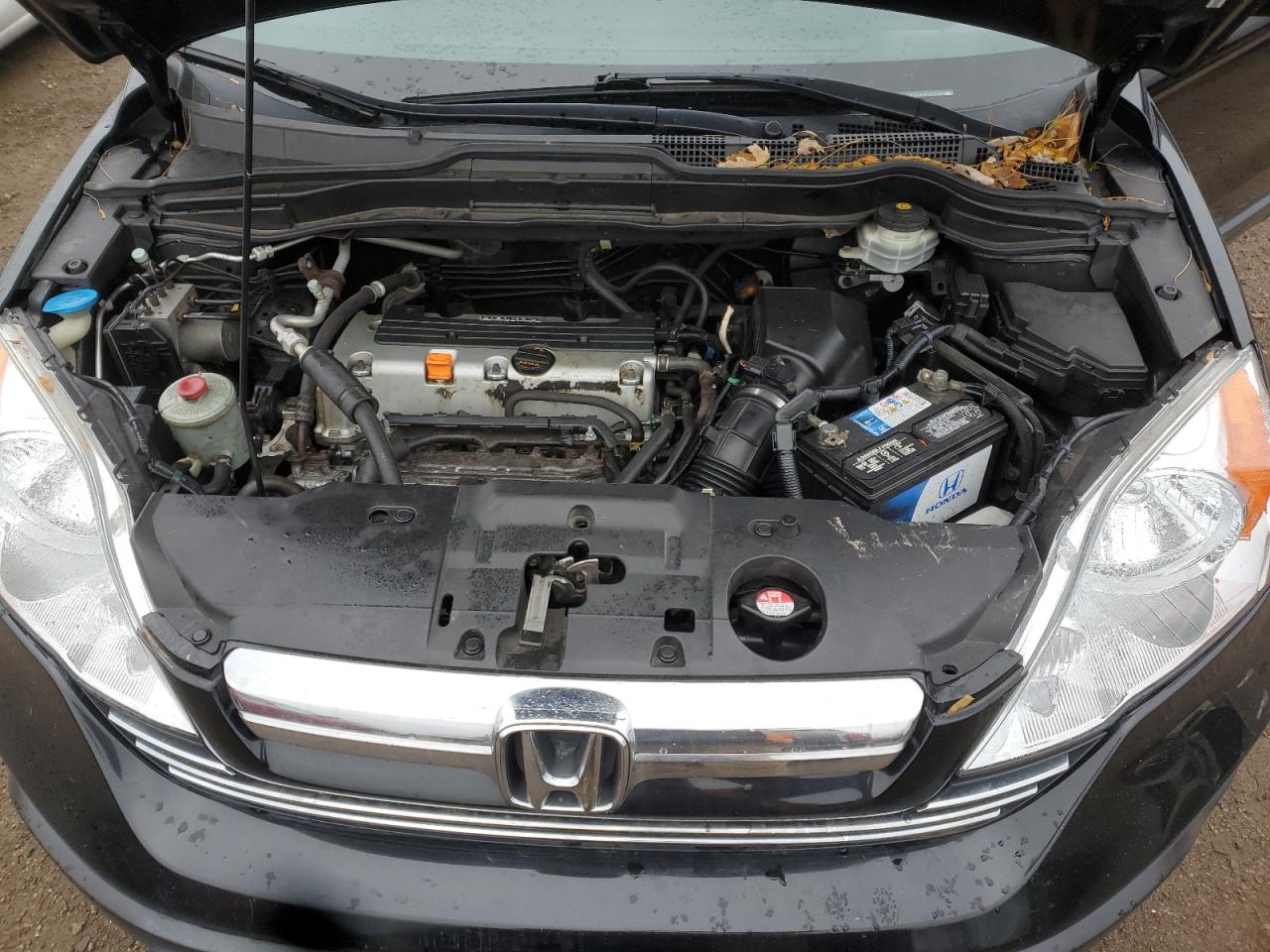 2009 Honda Cr-V Exl VIN: JHLRE48739C006312 Lot: 92645565