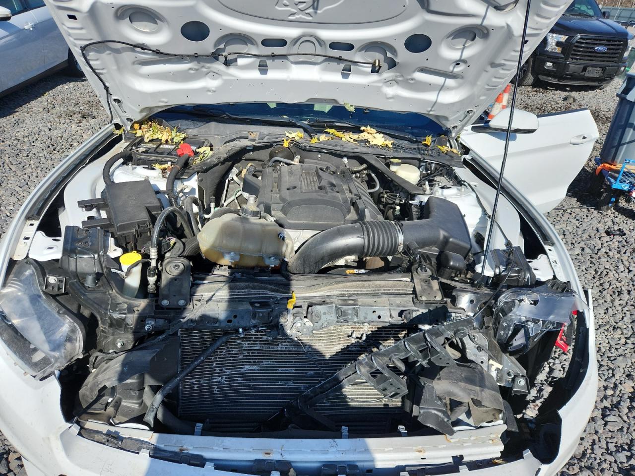 2015 Ford Mustang VIN: 1FATP8UHXF5383874 Lot: 92500525