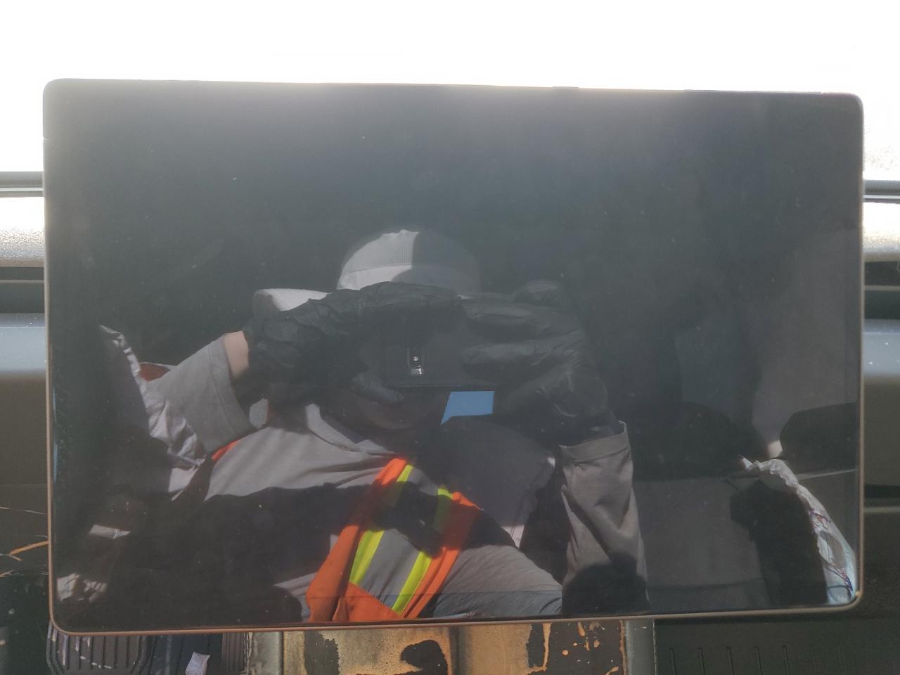 2025 Tesla Model 3 VIN: 5YJ3E1EA8SF919383 Lot: 90033725