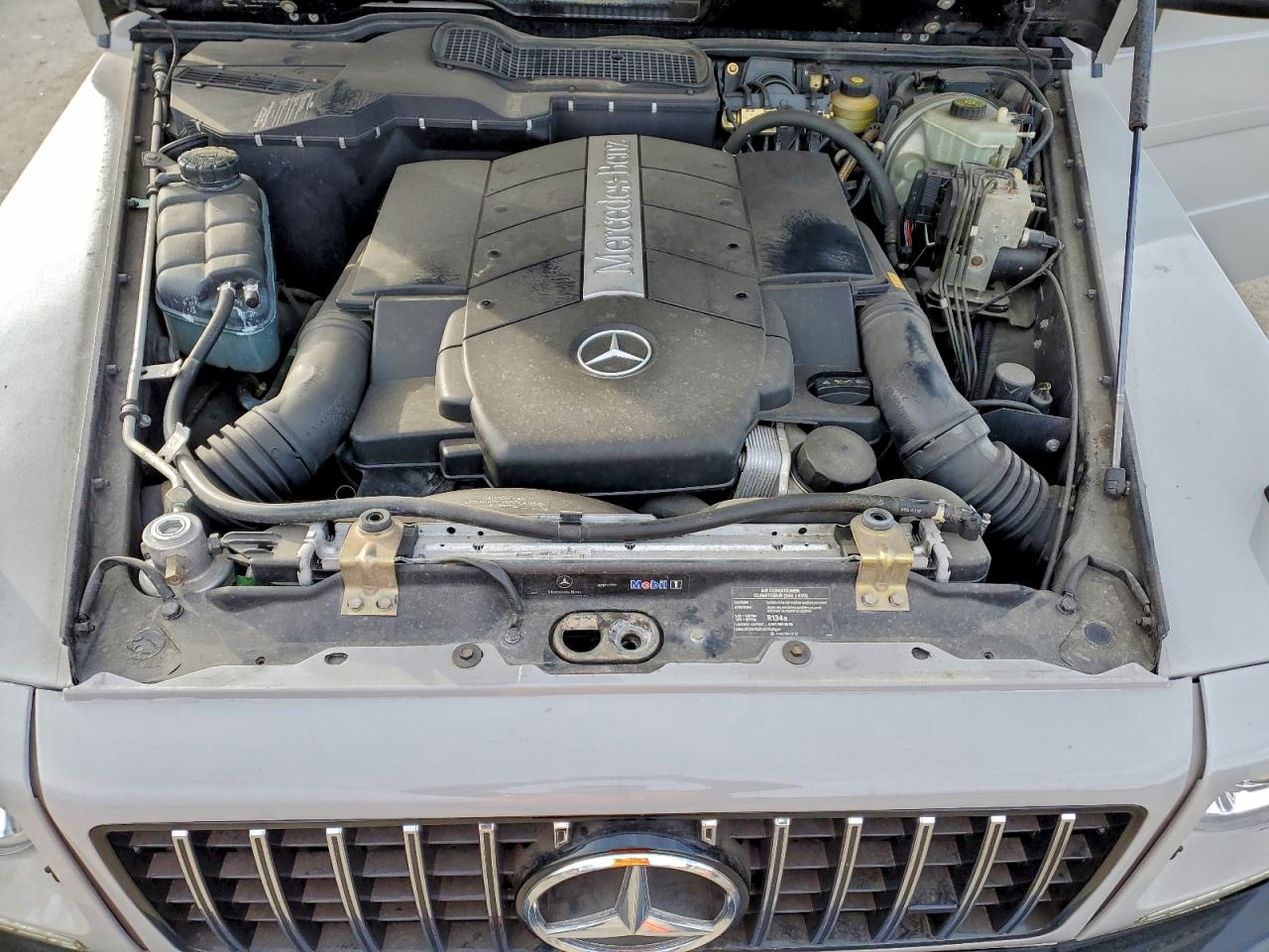 2002 Mercedes-Benz G 500 VIN: WDCYR49E72X130490 Lot: 93255865