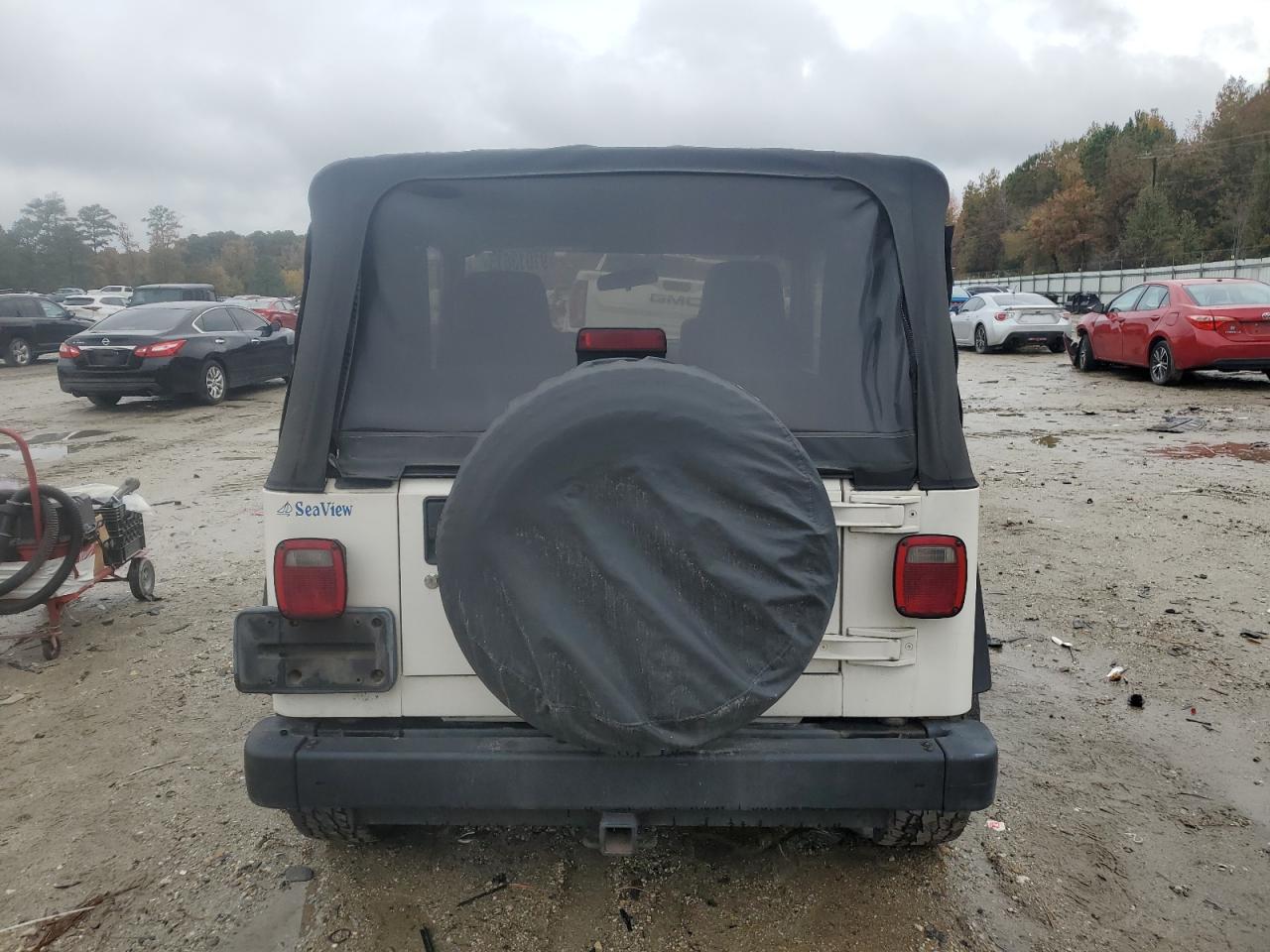 2003 Jeep Wrangler / Tj Sport VIN: 1J4FA49S73P365364 Lot: 91013615