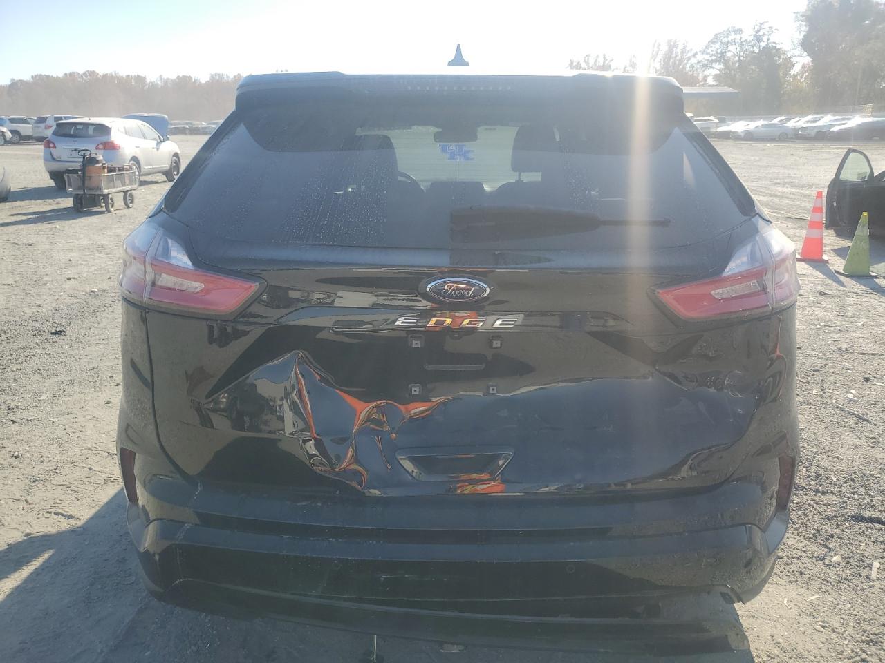 2024 Ford Edge Sel VIN: 2FMPK4J91RBA18298 Lot: 82769155