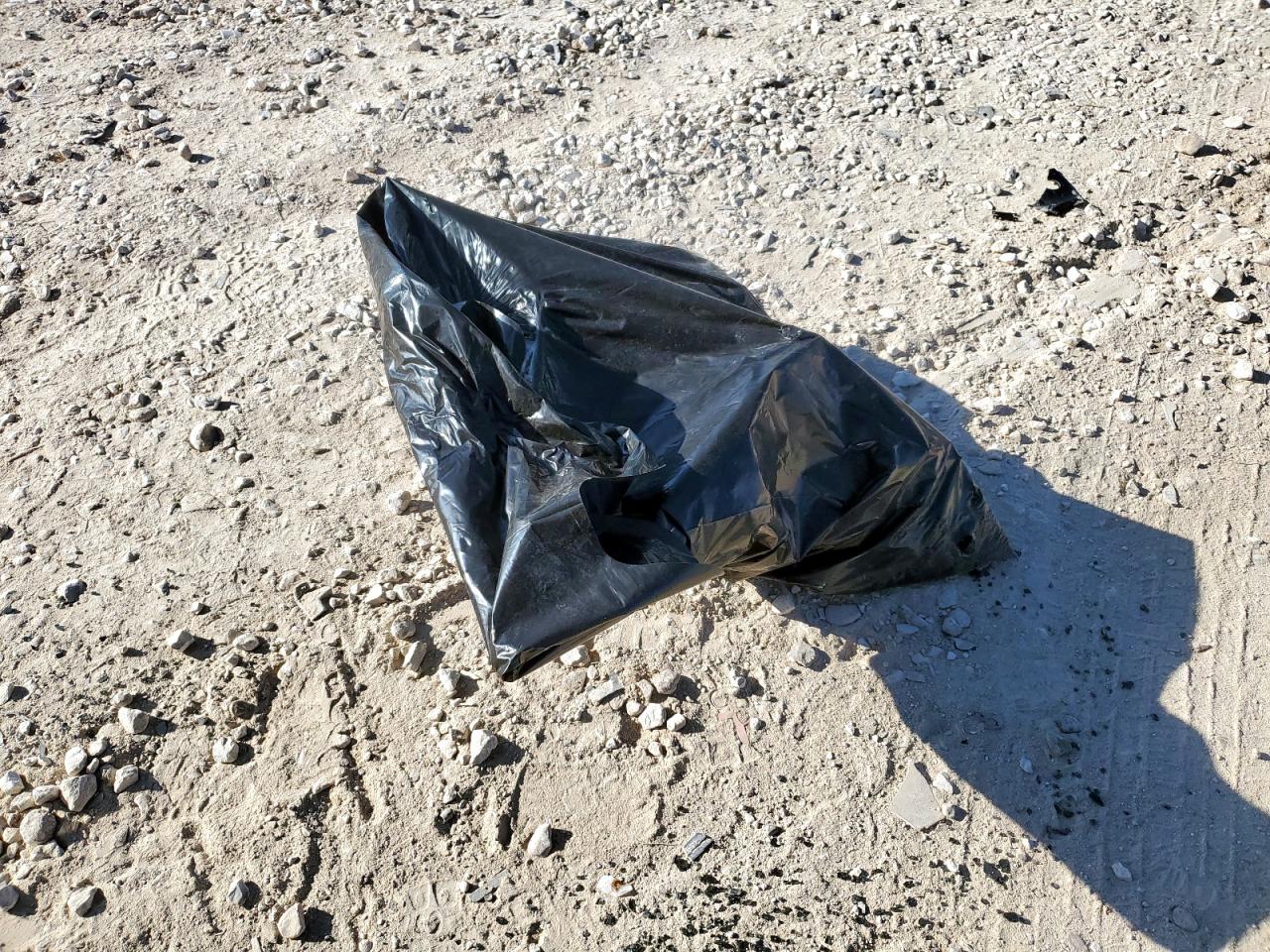 2021 Cadillac Escalade Sport VIN: 1GYS4FKL0MR295782 Lot: 92330505