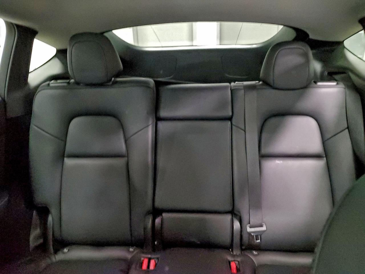 2024 Tesla Model Y VIN: 7SAYGDEE9RF088817 Lot: 94559095