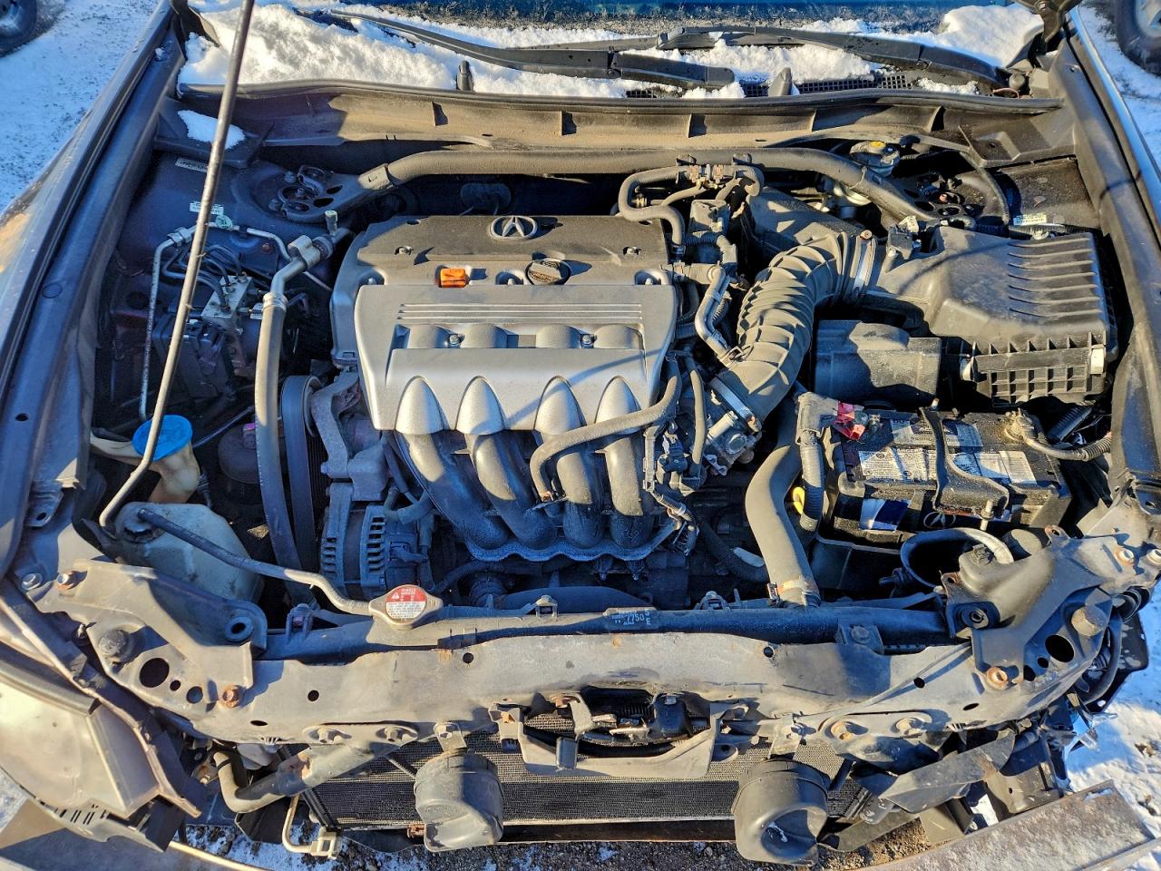 2011 Acura Tsx VIN: JH4CU2F60BC800208 Lot: 94434825