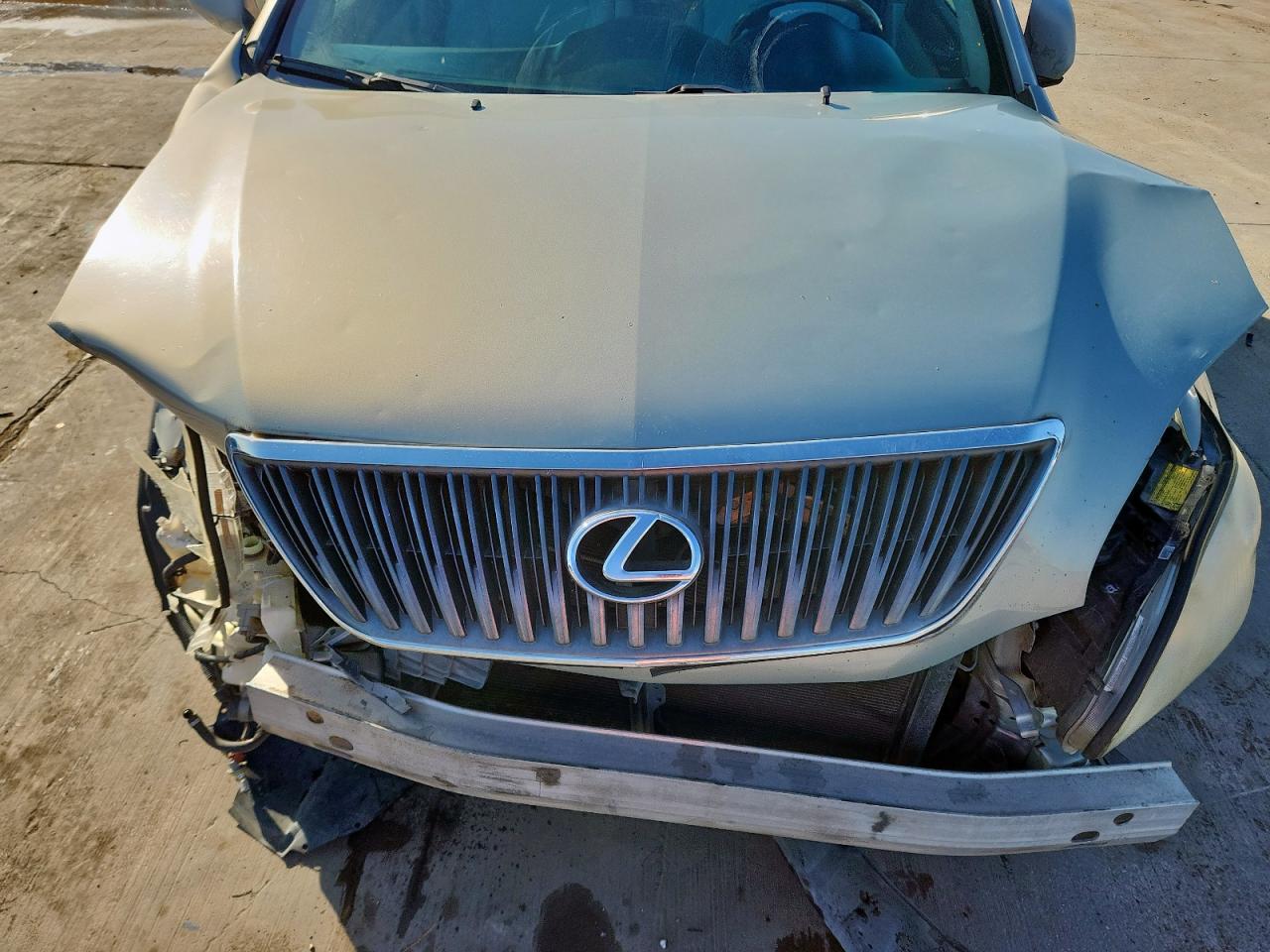 2007 Lexus Rx 350 VIN: 2T2HK31U37C044781 Lot: 92657685