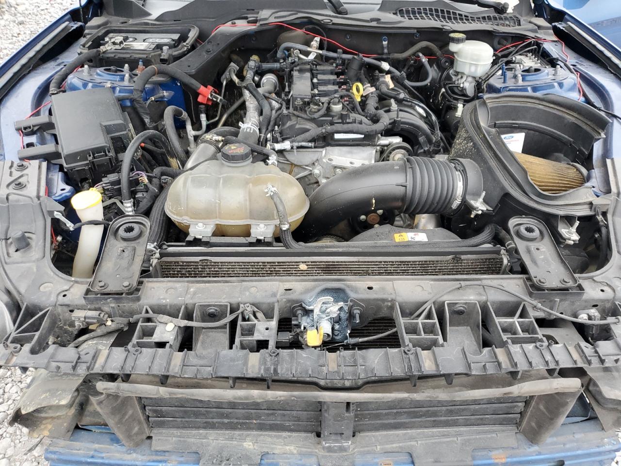 2017 Ford Mustang VIN: 1FA6P8TH3H5296299 Lot: 92668065