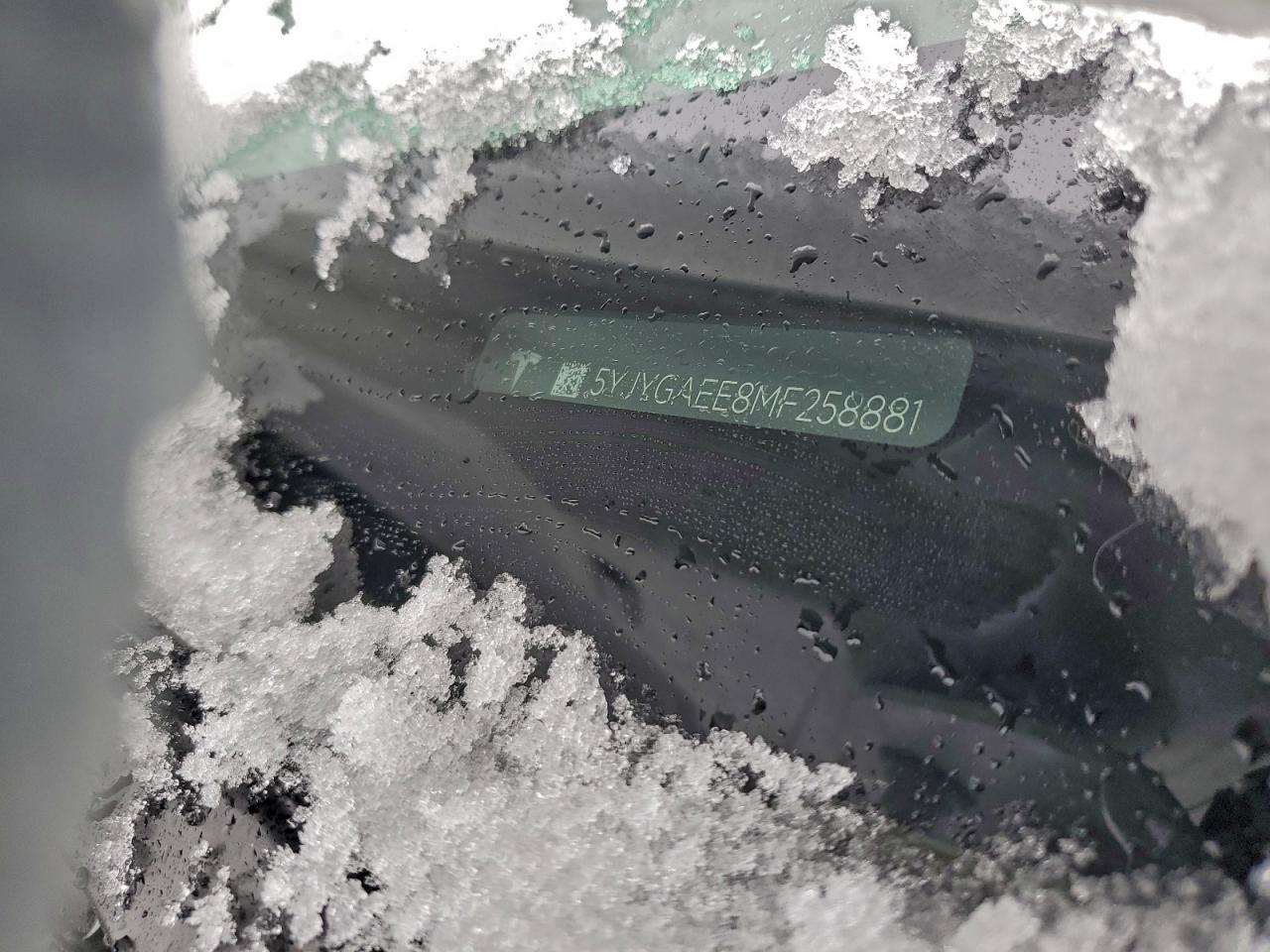 2021 Tesla Model Y VIN: 5YJYGAEE8MF258881 Lot: 94515565