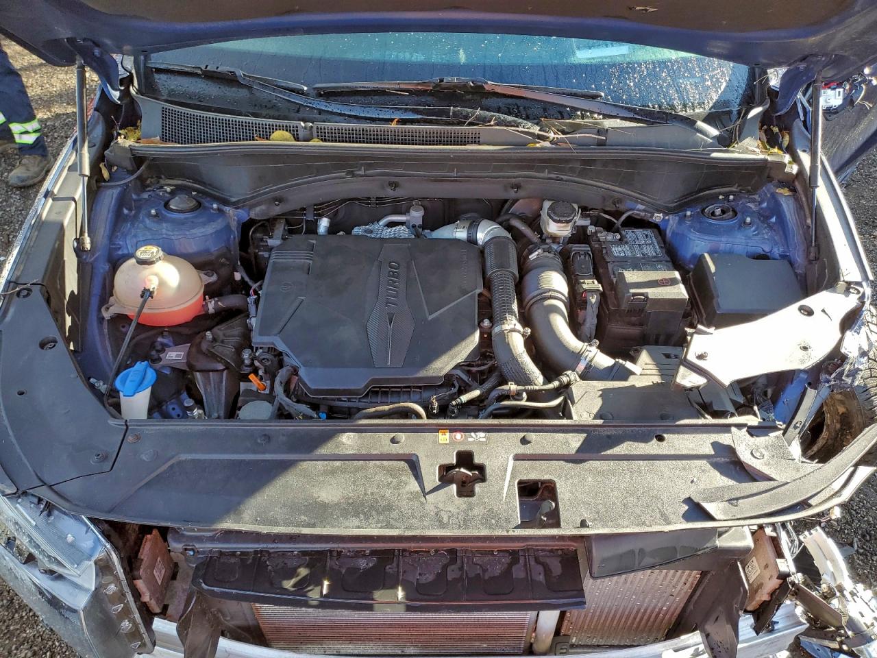 2022 Hyundai Santa Fe Calligraphy VIN: 5NMS5DAL4NH456035 Lot: 93853325